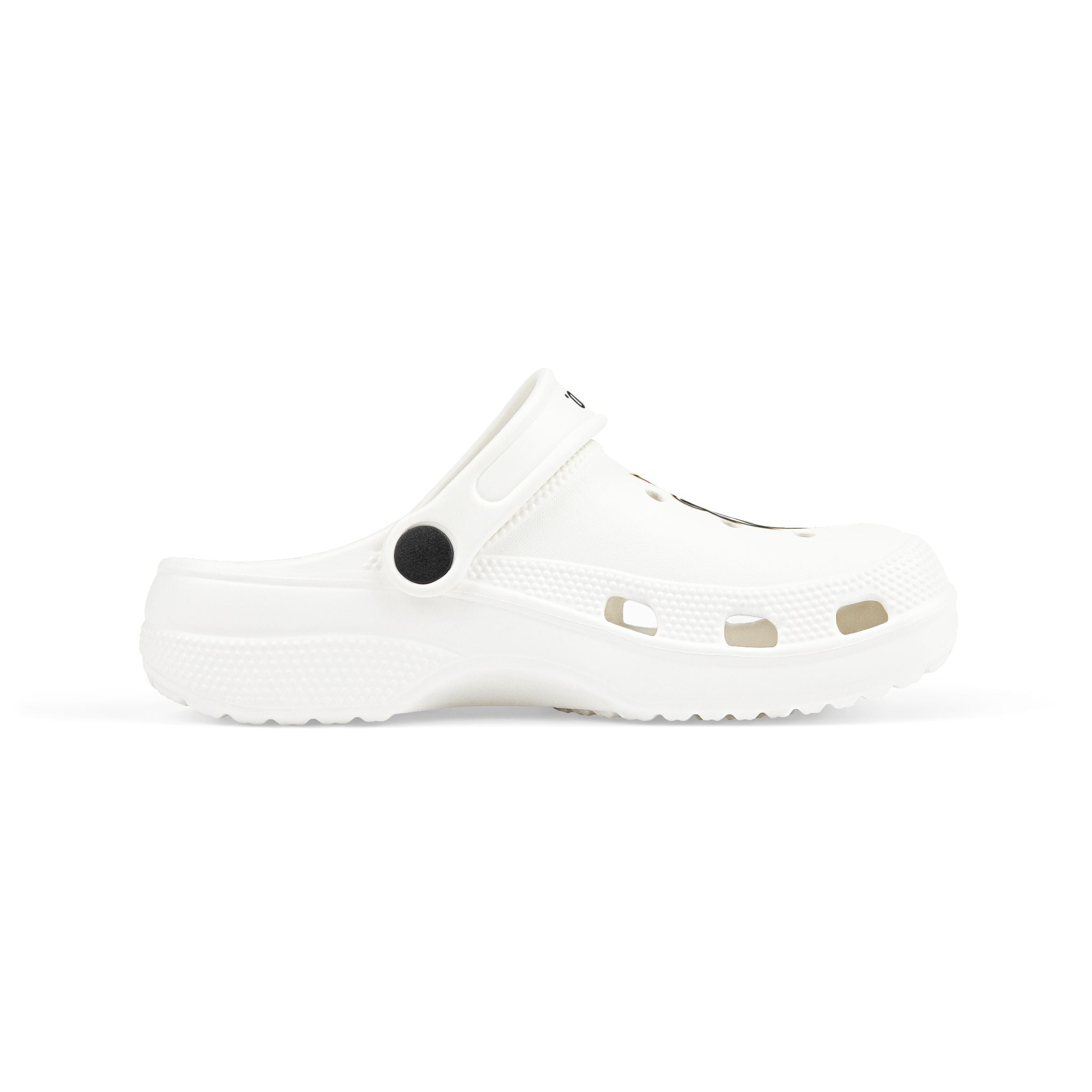 Kids Foam Clogs — A1 Lifestyle Co. Regal Lion Crown Graphic